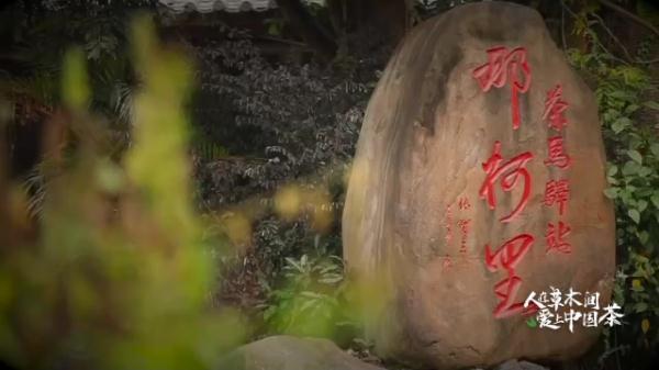 人在草木間丨追逐千年前茶馬古道上的馬蹄印