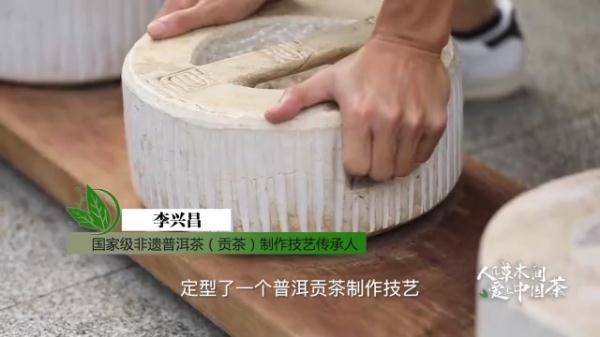 人在草木間丨追逐千年前茶馬古道上的馬蹄印